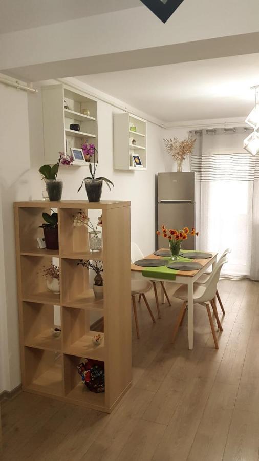 Apartament Karina Năvodari Zewnętrze zdjęcie