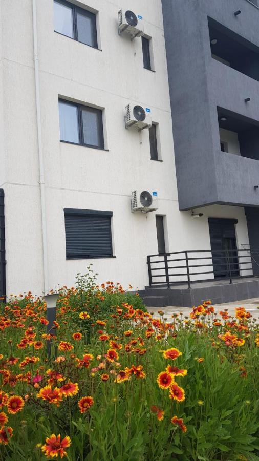 Apartament Karina Năvodari Zewnętrze zdjęcie