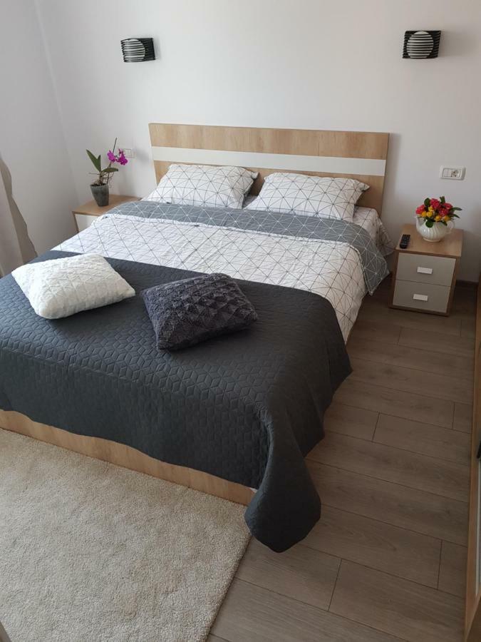 Apartament Karina Năvodari Zewnętrze zdjęcie